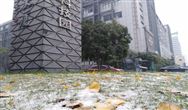 天然氣供暖實(shí)現(xiàn)不了！農(nóng)村清潔取暖從哪入手？